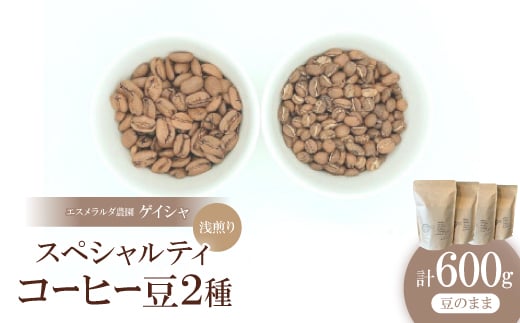 スペシャルティコーヒー 浅煎り コーヒー豆2種類セット　合計600g(豆のまま)【1346172】