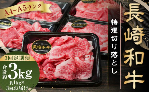 【全3回定期便】【A4～A5ランク】長崎和牛 特選 切り落とし 約1kg (200g×5パック) 牛肉 肉 牛 和牛 国産牛 国産 お肉 1461135 - 長崎県長崎市