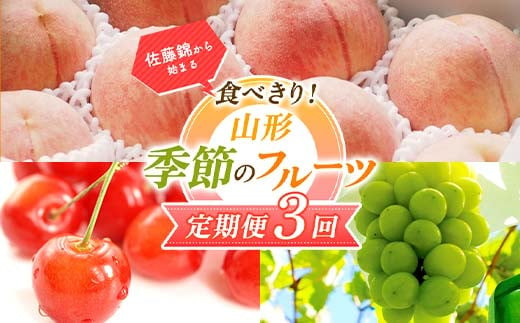 【2025年先行予約 定期便3回】 佐藤錦から始まる食べきり！山形季節のフルーツ定期便 FSY-0573 862325 - 山形県山形県庁