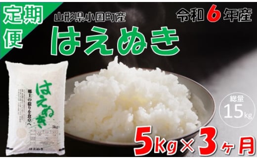 【3回定期便】山形県小国町産 はえぬき5kg 1523252 - 山形県小国町