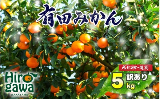 訳あり ご家庭用 農家直送 有田みかん 5kg サイズ混合 光センサー選別 ＜※11月中旬～翌年1月中旬に順次発送予定＞ ※北海道・沖縄・離島への配送不可 / 温州みかん みかん 訳あり わけあり 家庭用【nuk004-noka-c5A】 1531483 - 和歌山県広川町