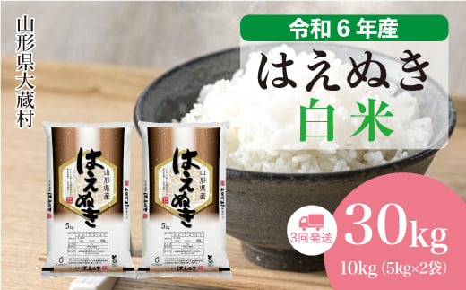 令和6年産 大蔵村 はえぬき ＜白米＞30kg 定期便（10kg×3回お届け）＜配送時期が選べて便利＞ 1524139 - 山形県大蔵村