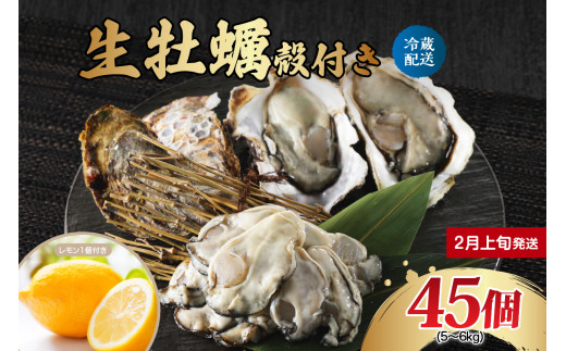 【2026年2月上旬発送】ナバラ水産 生牡蠣 殻付き 45個 2152854 - 広島県呉市