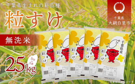 【新米】令和6年産 千葉県産「粒すけ」25kg無洗米（5kg×5袋）  お米 無洗米 25kg 千葉県産 大網白里市 粒すけ 米  こめ 送料無料 A047