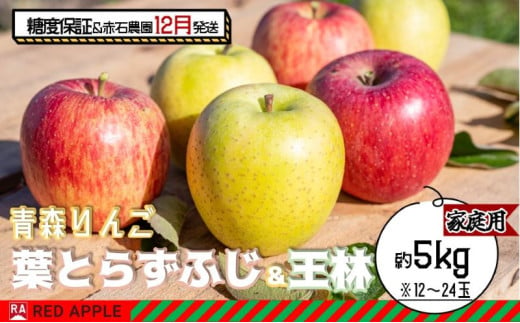 りんご 【 12月発送 】 13度糖度保証 家庭用 蜜入り 葉とらず ふじ ＆ 王林 約 5kg 【 弘前市産 青森りんご 】 1106855 - 青森県弘前市