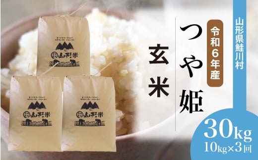 ＜令和6年産米＞ 鮭川村 つや姫 【玄米】 30kg 定期便（10kg×3回発送）＜配送時期選べます＞ 1531134 - 山形県鮭川村