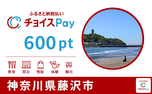 藤沢市チョイスPay 600pt(1pt=1円)