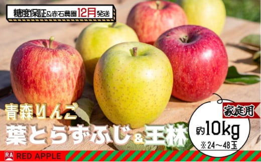 りんご 【 12月発送 】 13度糖度保証 家庭用 蜜入り 葉とらず ふじ ＆ 王林 約 10kg 【 弘前市産 青森りんご 】 1106856 - 青森県弘前市