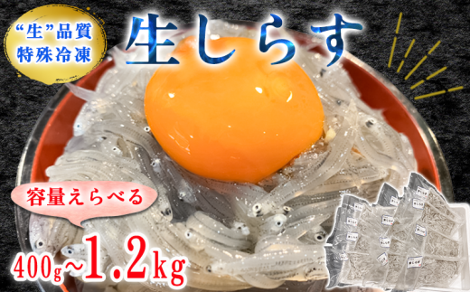 [容量 選べる] 生しらす お刺身 約400g~1.2kg 小分け 冷凍 真空パック 便利 簡単 刺身 パック 生しらす シラス 生しらす丼 しらす お刺身 海鮮丼 しらす丼 生しらす 生姜 醤油 お吸い物 生しらす シラス 新鮮 海鮮 ふるさと納税刺し身 魚貝 海産物 魚貝類 海の幸 魚 小魚 さかな ふるさと納税しらす ふるさと納税刺身 しらす 岬だより 人気 おすすめ 愛知県 南知多町