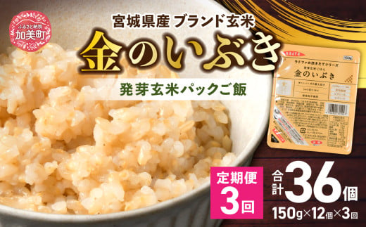 米【 定期便 】JA加美よつば 金のいぶき 発芽玄米 パックごはん ( 150g × 12個 ) 全3回  [加美よつば農業協同組合 宮城県 加美町 ]  玄米 レトルト ごはん ご飯 レトルトごはん レンジ レンチン かんたん パックライス ライス 米 簡単 お手軽 アウトドア キャンプ 備蓄 非常食 常備 ひとり暮らし 防災 | yo00005-3 652471 - 宮城県加美町