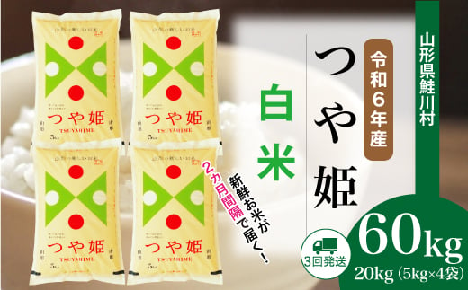 ＜令和6年産米＞ 鮭川村 つや姫 【白米】 60kg 定期便（20kg×3回発送）＜配送時期選べます＞ 1531141 - 山形県鮭川村