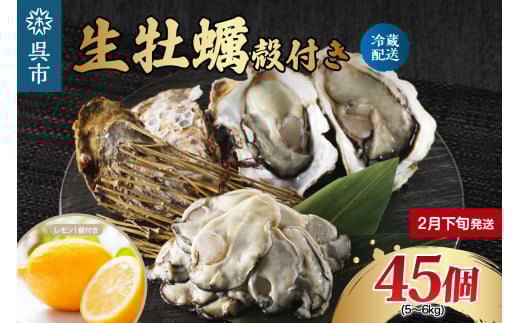 【2026年2月下旬発送】ナバラ水産 生牡蠣 殻付き 45個 2152856 - 広島県呉市