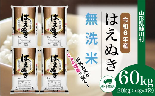 ＜令和6年産米＞ 鮭川村 はえぬき 【無洗米】 定期便 60kg （20kg×2ヶ月間隔で3回お届け）＜配送時期選べます＞ 1531102 - 山形県鮭川村