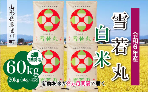 ＜配送時期が選べて便利な定期便＞ 令和6年産 真室川町 雪若丸  ［白米］ 60㎏ 定期便（20kg×3回お届け）