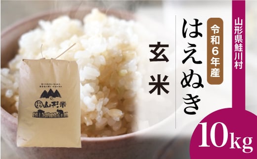 [令和6年産米] 鮭川村 はえぬき [玄米] 10kg (10kg×1袋)[配送時期選べます]