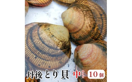 舞鶴産丹後とり貝 中 10個入 131〜150g/個 合計1.3kg〜1.5kg 新鮮 京都府産 舞鶴 生 殻付き 活け 大型 とりがい 10個 産地直送 産直 お取り寄せ 国産 生食 刺身 炙り 高級食材 クール便 冷蔵 とり貝 とりがい 鳥貝 高級貝 とり貝 とりがい 鳥貝 高級貝 とり貝 とりがい 鳥貝 高級貝 とり貝 とりがい 鳥貝 高級貝 とり貝 とりがい 鳥貝 高級貝