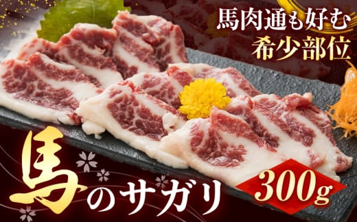 馬のサガリ 300g 桜屋[30日以内に出荷予定(土日祝除く)] 馬刺し 馬肉 熊本県 荒尾市 肉