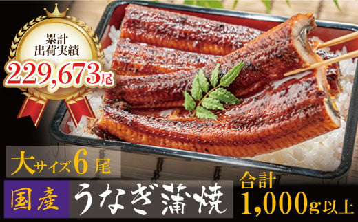 U61-72 国産うなぎ蒲焼大サイズ6尾（