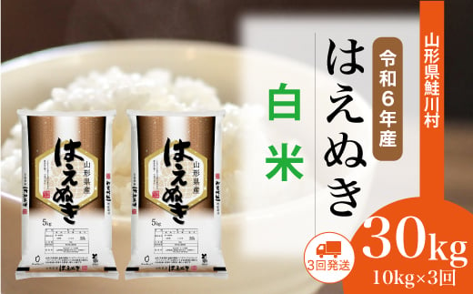 [令和6年産米] 鮭川村 はえぬき [白米] 定期便 30kg (10kg×1ヶ月間隔で3回お届け)[配送時期選べます]