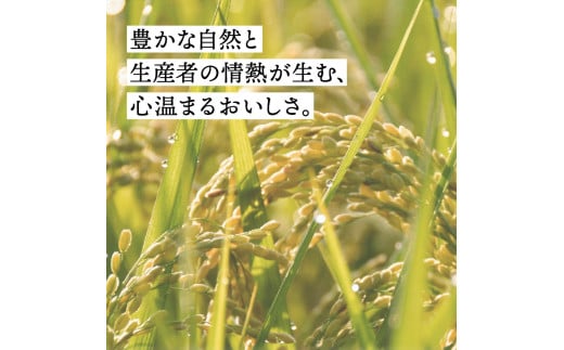 岩手県金ケ崎町のふるさと納税 【無洗米】新米 令和6年 5kg ひとめぼれ 一等米 | 選べる 精米 / 無洗米 ブランド米 銘柄米 お米 お弁当 おにぎり 袋 米 コメ こめ 白米 ごはん ご飯 白飯 飯 岩手県 いわて 金ケ崎町