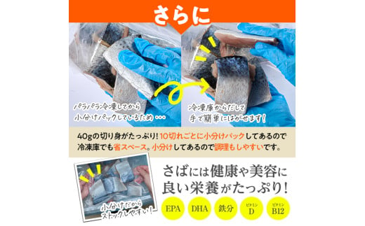 大分県佐伯市のふるさと納税 訳あり・さば 切り身(総計約1.2kg・30切)訳あり さば 切り身 セット 冷凍 国産 切身 魚 海鮮 おかず 骨抜き 骨なし 骨取り 個包装 鯖 惣菜 簡単調理 無塩 フライ 塩焼き 味噌煮 大分県 佐伯市【AQ88】【(株)やまろ渡邉】