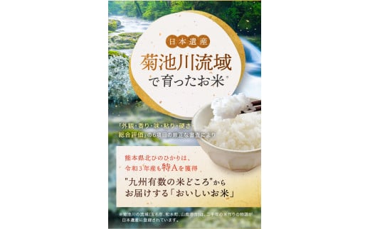 熊本県和水町のふるさと納税 令和6年産 新米  熊本県産 ほたるの灯り 無洗米 20kg | 小分け 5kg × 4袋  熊本県産 こめ 米 無洗米 ごはん 銘柄米 ブレンド米 複数原料米 人気 日本遺産 菊池川流域 こめ作り ごはん ふるさと納税 返礼品