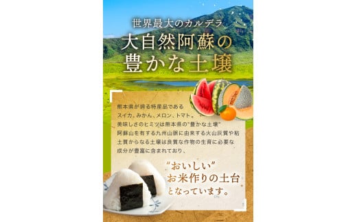 熊本県和水町のふるさと納税 令和6年産 新米  熊本県産 ほたるの灯り 無洗米 20kg | 小分け 5kg × 4袋  熊本県産 こめ 米 無洗米 ごはん 銘柄米 ブレンド米 複数原料米 人気 日本遺産 菊池川流域 こめ作り ごはん ふるさと納税 返礼品