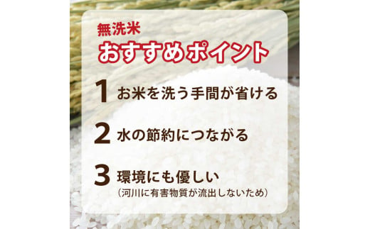 岩手県金ケ崎町のふるさと納税 【無洗米】新米 令和6年 5kg ひとめぼれ 一等米 | 選べる 精米 / 無洗米 ブランド米 銘柄米 お米 お弁当 おにぎり 袋 米 コメ こめ 白米 ごはん ご飯 白飯 飯 岩手県 いわて 金ケ崎町