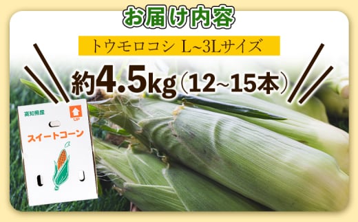 朝採れスイートコーン 4.5kg (12～15本) - 野菜 とうもろこし とうきび トウキビ BBQ キャンプ 旬 おやつ 特産品 数量限定  季節限定 期間限定 sg-0006 - 高知県香南市｜ふるさとチョイス - ふるさと納税サイト