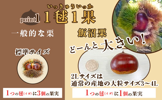 029 飯沼栗 2kg 高級 茨城県 茨城町産 ブランド くり 希少 品種 数量 限定 先行予約 2025年10月下旬～11月下旬頃発送予定 -  茨城県茨城町｜ふるさとチョイス - ふるさと納税サイト