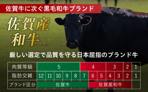佐賀産和牛 切り落とし 肩orバラ 計1.8kg （600g×3回）