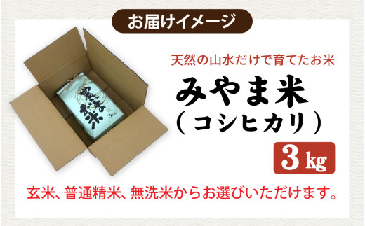 みやま米】令和6年産 福井県産コシヒカリ3kg /天然の山水だけで育てたお米 [A-168003] / 3キロ 無洗米 玄米 精米 -  福井県福井市｜ふるさとチョイス - ふるさと納税サイト