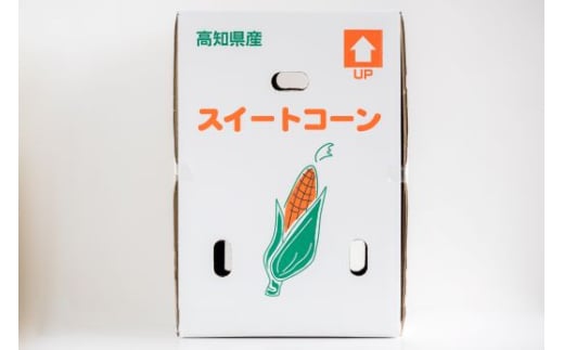 朝採れスイートコーン 4.5kg (12～15本) - 野菜 とうもろこし とうきび トウキビ BBQ キャンプ 旬 おやつ 特産品 数量限定  季節限定 期間限定 sg-0006 - 高知県香南市｜ふるさとチョイス - ふるさと納税サイト