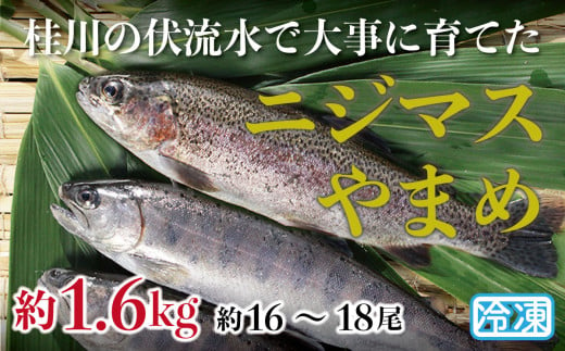 山梨県産　桂川の冷凍やまめ・ニジマスセット　計:約1.6kg(約16～18尾) 237948 - 山梨県大月市