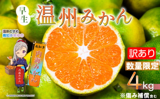 【先行予約】 訳あり 温州みかん 約4kg 早生 南知多町産 みかん 蜜柑 柑橘 果物 フルーツ デザート アレンジ 人気 おすすめ 愛知県 南知多町 1523599 - 愛知県南知多町