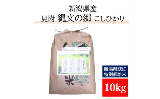 新潟 特別栽培米 令和6年産 コシヒカリ 「縄文の郷コシヒカリ」 精米 10kg(5kg×2) 精米 したてを お届け 新潟 のど真ん中 見附市 こしひかり 米 お米 白米 国産 ごはん ご飯 県認証米 安心安全 1557046 - 新潟県見附市