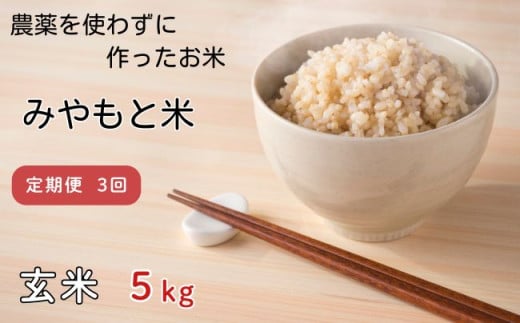 【定期便3回】農薬を使わずに作ったお米　みやもと米（玄米）　5kg 1546324 - 千葉県匝瑳市