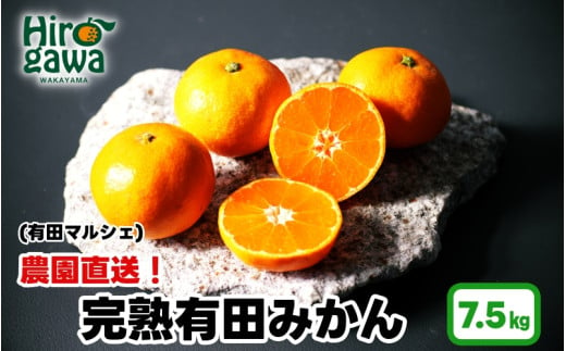 ＜先行予約＞農園直送！完熟有田みかん 7.5kg（サイズ混合）＜12月発送予定＞ ※北海道・沖縄・離島への配送不可 / 和歌山 有田みかん ミカン オレンジ 甘い フルーツ 果物 産地直送【ard004-noen-7d5-12】 1531801 - 和歌山県広川町