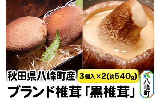 秋田県八峰町産 ブランド椎茸「黒椎茸」3個入×2パック（約540g） 1532243 - 秋田県八峰町