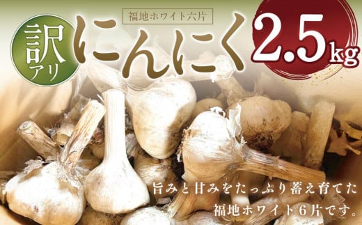 令和6年産にんにく2.5kg【福地ホワイト六片】【訳アリ】数量限定 680387 - 北海道美唄市