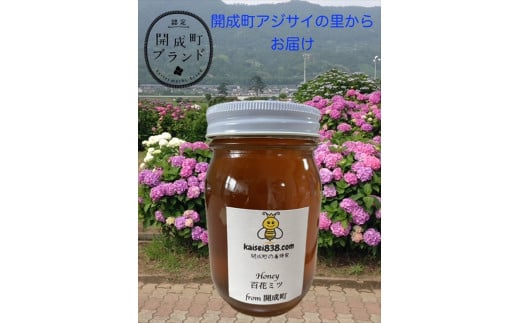 【開成あじさいの里からお届け】開成町の百花ミツ　６００ｇ【 神奈川県 開成町 】 1061760 - 神奈川県開成町