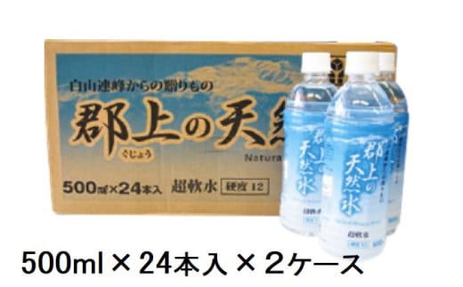 【C-55】清流長良川源流「郡上の天然水」500ml(24本入)2箱 1534738 - 岐阜県郡上市