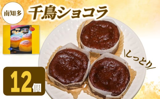 アルザス 選べる 千鳥ショコラ 12個 冷凍 ガトーショコラ チョコケーキ 愛知県 南知多町 1532752 - 愛知県南知多町