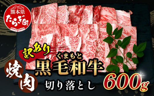 年内お届け【訳あり】くまもと 黒毛和牛 焼肉 切り落とし 600g ※12月18日～28日発送※  年内発送 年内配送 クリスマス 113-0504-R612 1531844 - 熊本県多良木町