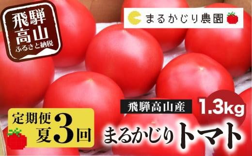 【2025年予約受付】【定期便 3ヶ月】＜全3回（8～10月 毎月1回）＞ 飛騨高山産 トマト 『麗月』1.3kg | とまと tomato 事前予約 産地直送 夏 野菜 飛騨高山 まるかじり農園 FW100 592255 - 岐阜県高山市