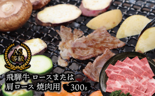 A5等級 飛騨牛ロース又は肩ロース 焼き肉用 約300g[単発便/定期便]