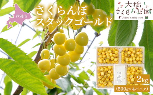 【先行受付】スタックゴールド黄 2kg（500g×4パック）サクランボ 黄 大橋 芦別 希少 大容量 [№5342-0292]