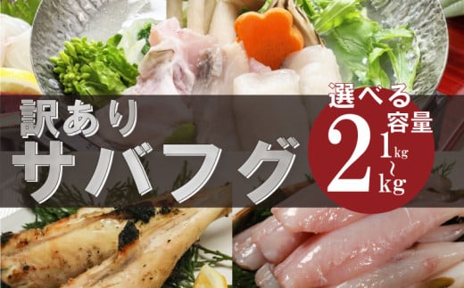 訳あり サバフグ 1kg〜2kg 鍋 唐揚げ フグ 塩 焼き 小分け 魚 フグ 河豚 さかな フグ 魚介 海鮮 新鮮 さかな 海の幸 海産物 愛知県サバフグ フグ グリル ごはん 料理 おかず おつまみ 晩酌 愛知県南知多町サバフグ 塩焼き ふぐ冷凍 フグ 南知多町サバフグ 山庄水産株式会社 ふるさと納税サバフグ 愛知県 南知多町 人気 おすすめ [離島不可]