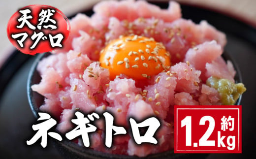 天然マグロ ネギトロ 約1.2kg 10,000円 国産 まぐろ 鮪 刺身 赤身 肉 ビンチョウマグロ ビンチョウ メバチマグロ 鉢マグロ メバチ キハダマグロ キハダ ネギトロ ツナ マグロ漬け 海鮮丼 丼 寿司 鉄火丼 魚 海鮮 魚介 魚貝 おつまみ おかず 惣菜 冷凍 小分け 個包装 お取り寄せ グルメ ギフト プレゼント 贈答 送料無料 千葉県 銚子市 和田水産 1350113 - 千葉県銚子市