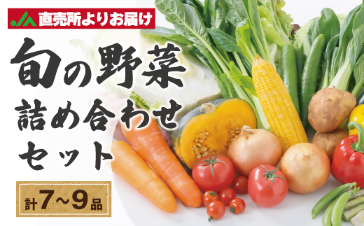 むなかた旬のお任せセット(野菜) 7～9品【JAほたるの里】_HA1569 1532506 - 福岡県宗像市